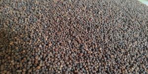 Black Pepper Seeds