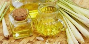 Lemon Grass Oil