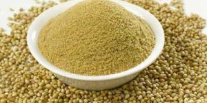 Coriander Powder