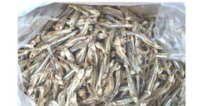 Dried Anchovies