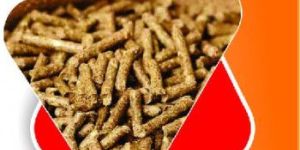 BIOMASS WOOD PELLET