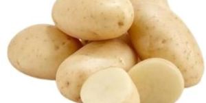 Fresh Potato
