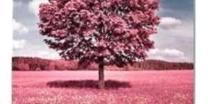 18.0 X 24.0Cm A4 College Book