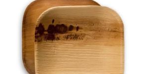 4 Inch Disposable Areca Leaf Square Plates