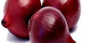 Agrifound Dark Red Onion
