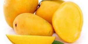 Alphonso Mango