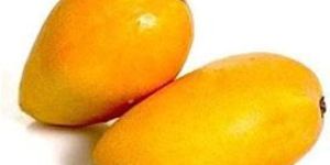Badami Mango