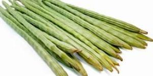 Chemurringai Drumsticks