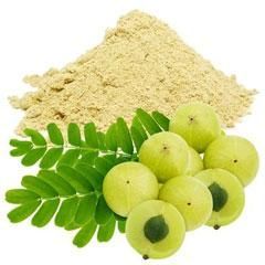 Gooseberry Powder