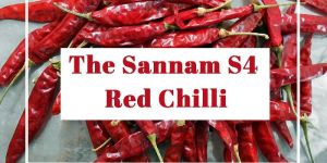 Sannam S4 Chilli