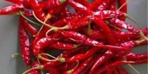 Teja Red Chilli