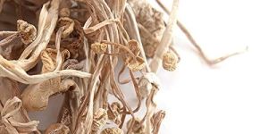 Dried Enoki Mushroom