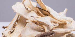 Dried King Oyster Mushroom