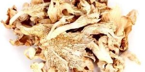 Dried Oyster Mushroom