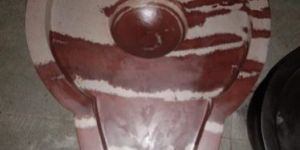 Brown and White Narmada Jaldhari Yoni Base
