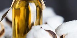 Cottonseed Oil