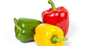 Fresh Bell Pepper