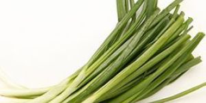 Fresh Spring Onion