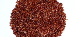 Red Rice