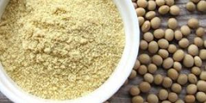 Soybean Flour