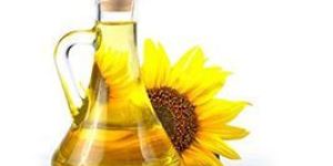 Sunflower Oil