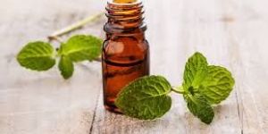 Peppermint Oil Any Grade