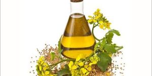 Thyme(Ajowan) Oil 60%