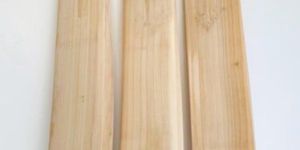 Cricket Bat
