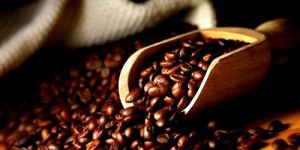 Fresh Roasted Coffee Beans