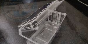 Plastic Fruit Packaging Box