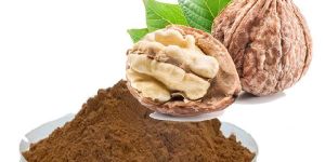 Walnut Kernels Powder