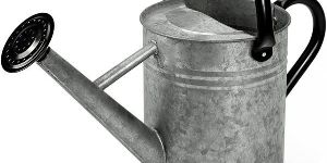 Garden Watering Can