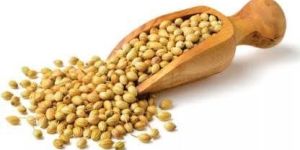 Coriander Seeds