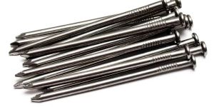 Common Nails