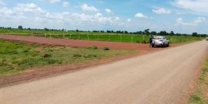 Farmhouse Sale Services