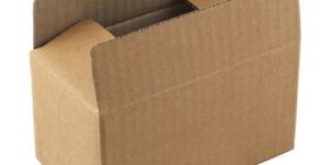 Biodegradable Corrugated Carton Box