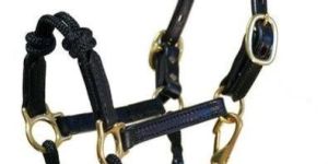 Leather Horse Halters