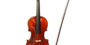 Violin