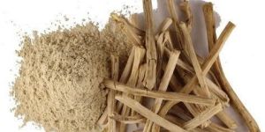 Shatavari Powder