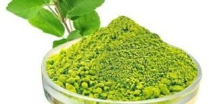 Tulsi Powder