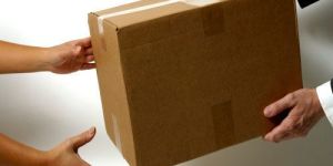 Domestic Courier Services