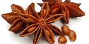 Star Anise Seeds