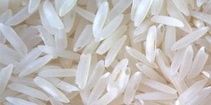 Sugandha Basmati Rice