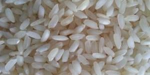 Swarna Non Basmati Rice