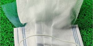 Disposable Face Mask