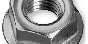 Flange Nut