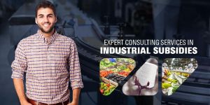 Industrial Subsidies Consultation Service