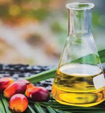 Palm Oil
