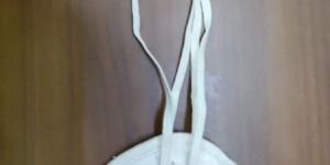 Intech N-95 Safety Masks