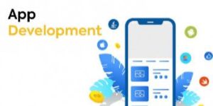 Application Development